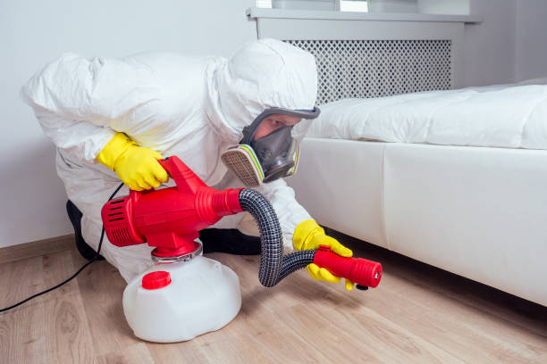 Best Affordable Pest Control Services  in Kitty Hawk, NC
